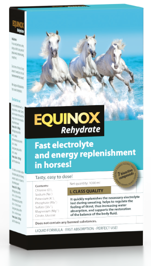 EQUINOX Rehydrate