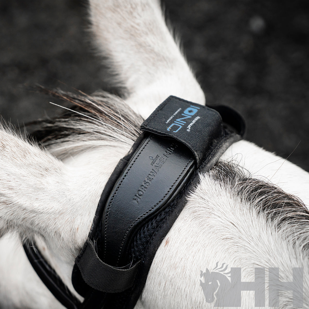 PROTECTOR TESTERO HORSEWARE IONIC CALMANTE