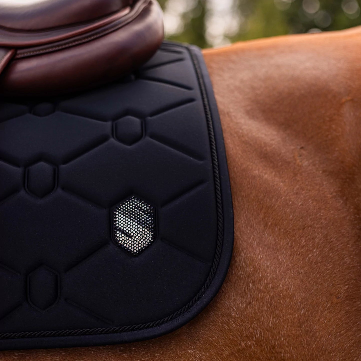 MANTILLA SALTO SAMSHIELD SPINESHIELD