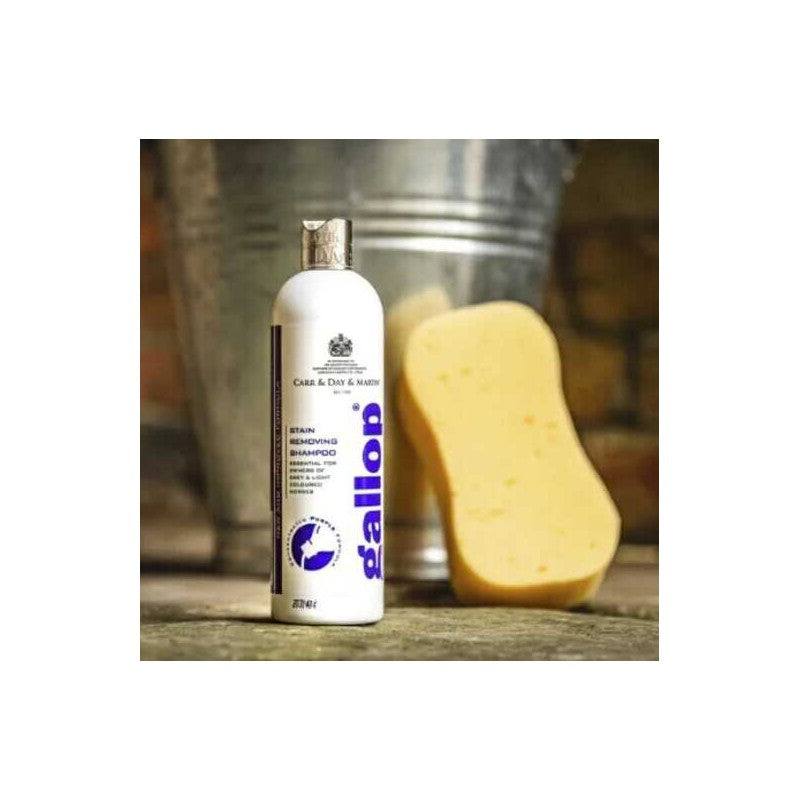 SHAMPOO DESENREDANTE CARR&DAY&MARTINS 500ML