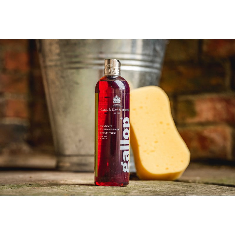 SHAMPOO PARA CABALLOS BAYOS Y CSATAÑOS CARR&DAY&MARTINS 500ML